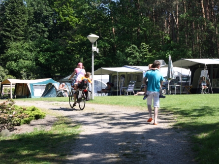 Camping_De_Bosrand_plek25-30
